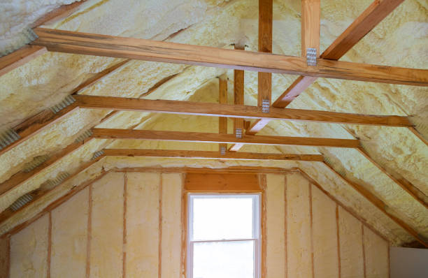 Best Insulation Repair Services  in Bertsch Oceanview, CA