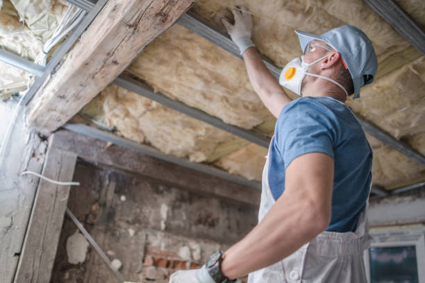 Best Attic Insulation Installation  in Bertsch Oceanview, CA