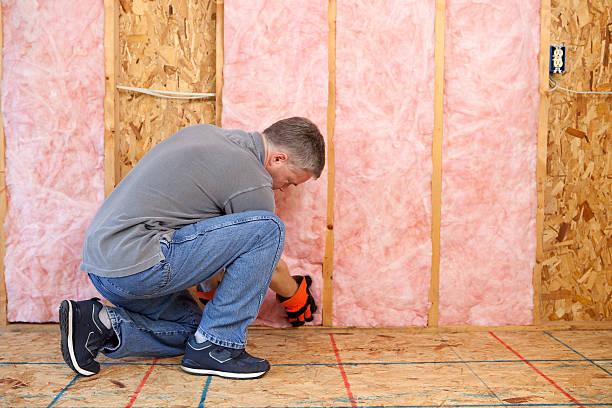 Best Attic Insulation Installation  in Bertsch Oceanview, CA
